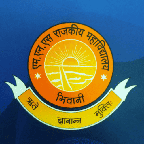 NNS School Logo